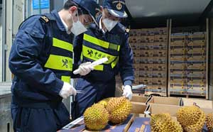 上海海关保障进口水果高效通关