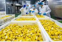 海城海关强化监管优化服务，助力海丰农食产品更好“走出去”