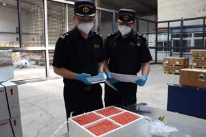 沈阳桃仙机场海关积极支持沈阳空港口岸&ldquo;鲜速达&rdquo;
