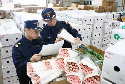 2025年云南鲜切花出口12.2亿元（图）
