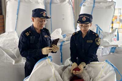 惊蛰春耕忙 种子通关畅（图）