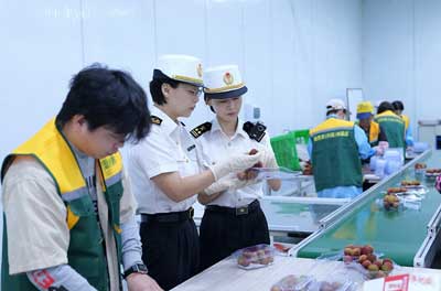 从枝头&ldquo;鲜&rdquo;到舌尖 海关助力增城荔枝香飘海外（图）