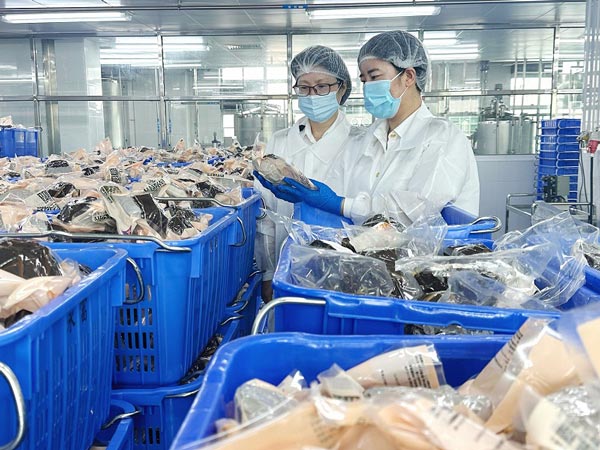 东莞海关为为关区粽子出口保驾护航,助力广式粽子香飘万里 东莞海关为为关区粽子出口保驾护航,助力广式粽子香飘万里