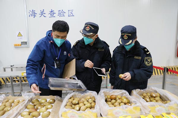 4355吨新西兰奇异果自东莞港进口 4355吨新西兰奇异果自东莞港进口