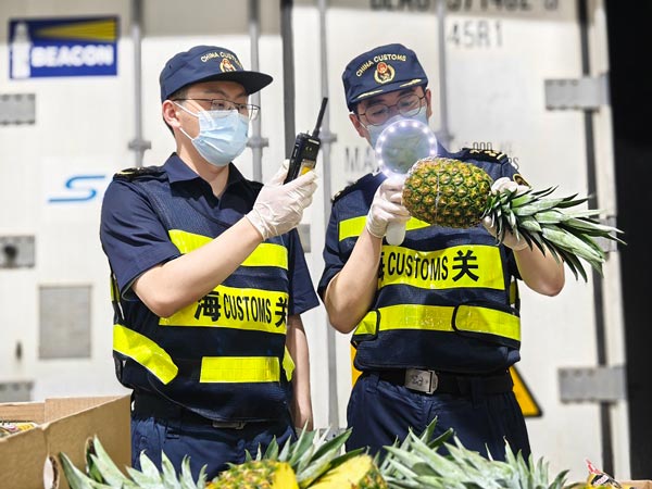 监管场地扩容升级 上海海关密切与港口、场所经营单位联系配合,积极推进进博水果抢“鲜”入境 监管场地扩容升级 上海海关密切与港口、场所经营单位联系配合,积极推进进博水果抢“鲜”入境