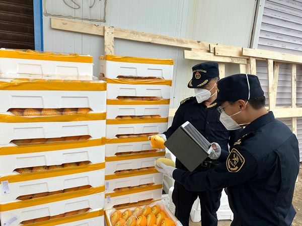 满洲里海关畅通果蔬出口“快车道”
