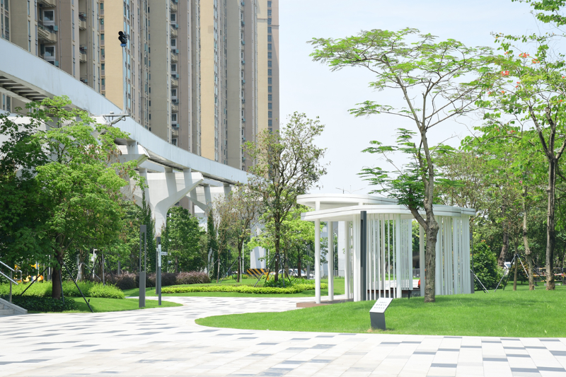 云波公园现场图