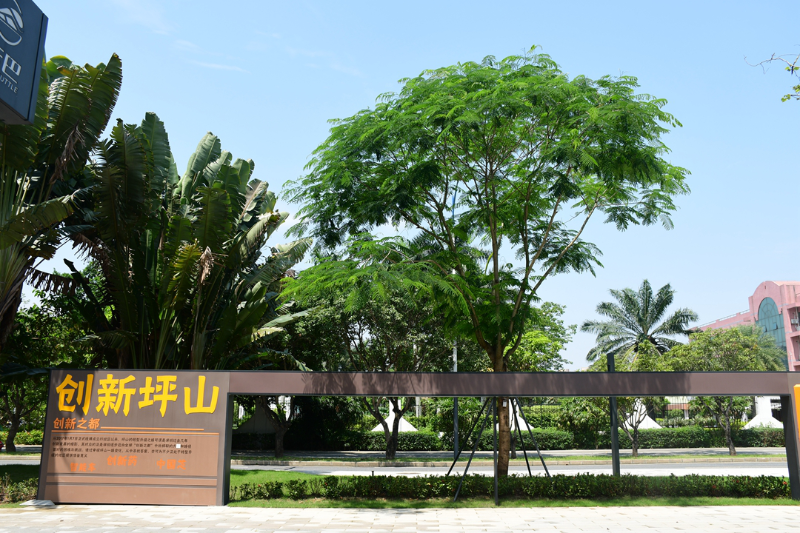 坪山区一批口袋公园建成开园，让“公园20分钟效应”触手可及 云端公园