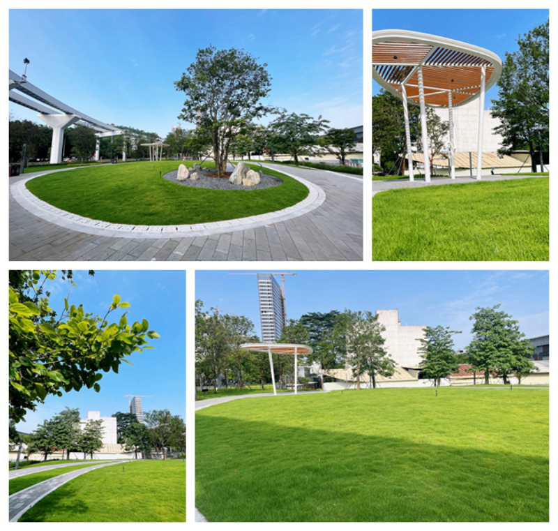 坪山区一批口袋公园建成开园，让“公园20分钟效应”触手可及 云麓公园