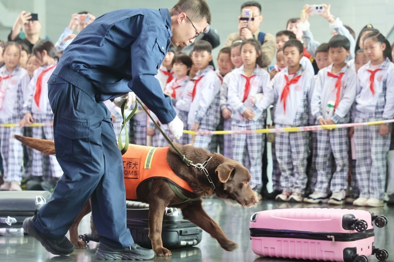 海关检疫犬进行现场演示+天津海关摄
