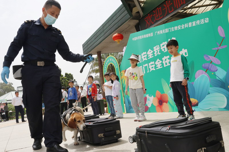 广州海关工作人员带领海关监管工作犬进行箱包藏匿禁止入境物品搜索展示