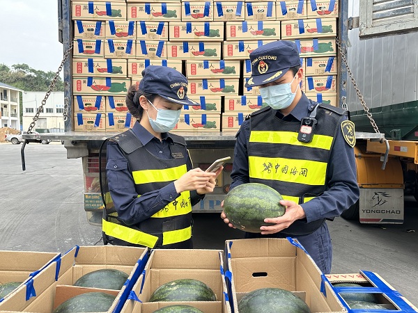 海关关员在河口公路口岸对进口越南水果开展查验+高淑晔+摄