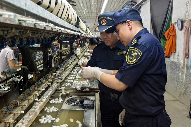 鲅鱼圈海关关员在柞蚕丝生产企业现场调研