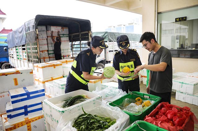 “桦加沙”来袭拱北口岸海关全力守护澳门居民“菜篮子”