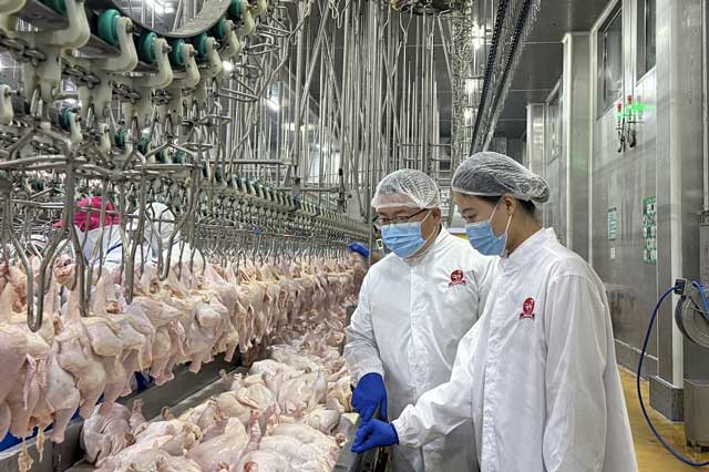 关员对首批出口香港冷冻禽肉进行现场监管