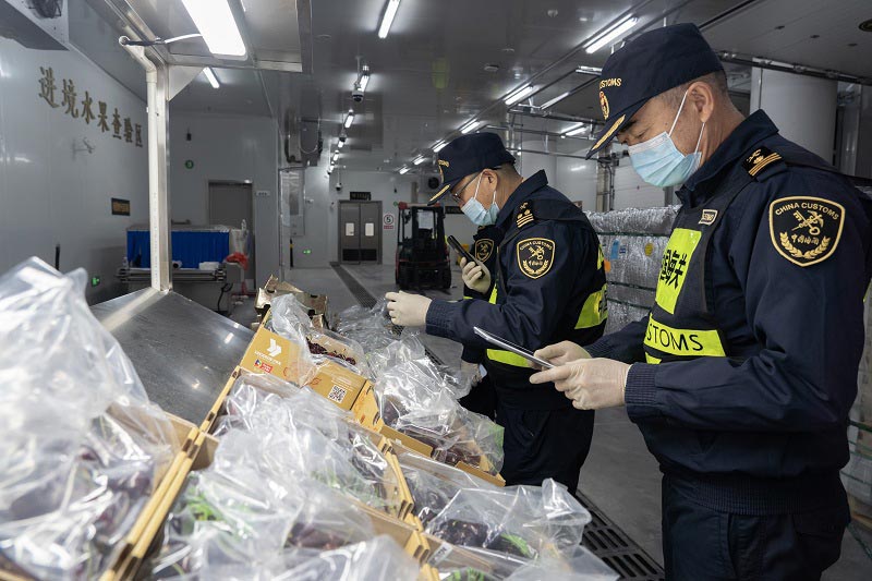 拱北海关关员对进口新鲜水果进行查验