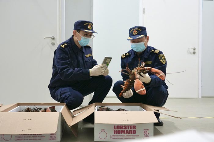 天津海关关员在天津空港口岸大通关基地对一批进口龙虾进行查验 天津海关关员在天津空港口岸大通关基地对一批进口龙虾进行查验