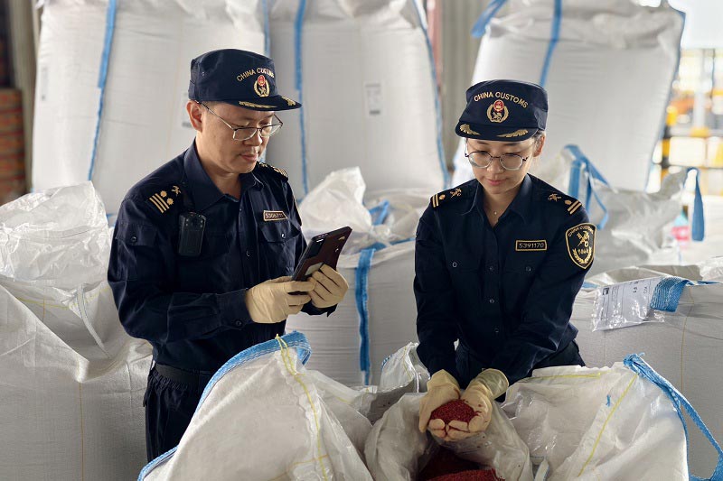 深圳海关所属蛇口海关关员在蛇口集装箱码头对菠菜种子进行验核