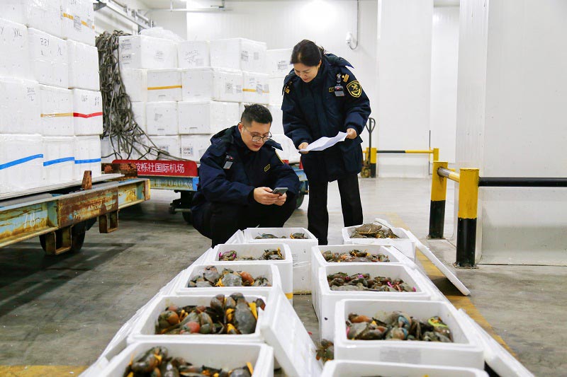 宁波机场海关关员对进口青蟹开展查验 宁波机场海关关员对进口青蟹开展查验
