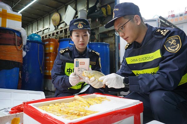 关员运用“三联三同”模式为供澳冰鲜水产品开展属地监管作业 关员运用“三联三同”模式为供澳冰鲜水产品开展属地监管作业