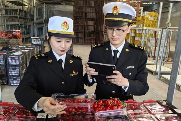 关员对出口樱桃实施现场查验