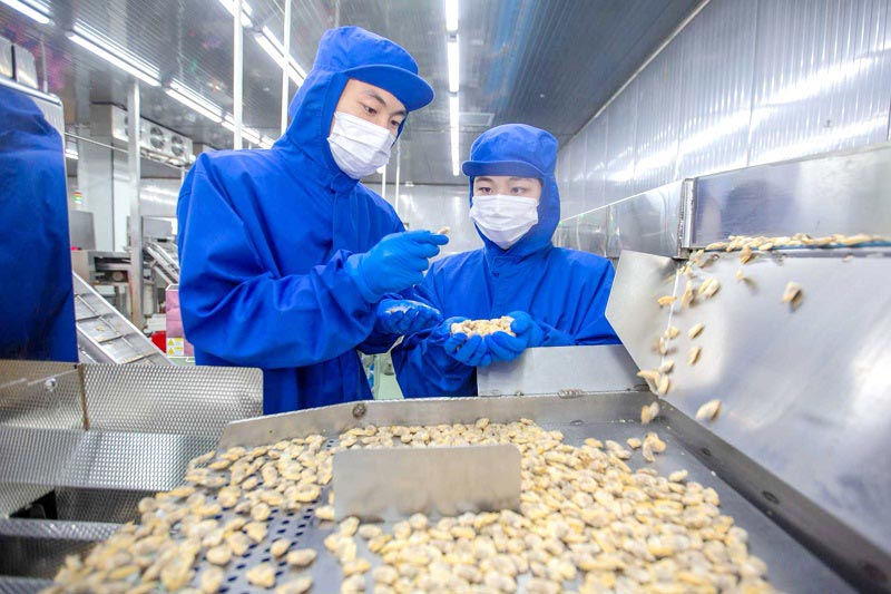 关员对出口冻煮杂色蛤进行现场查验 关员对出口冻煮杂色蛤进行现场查验