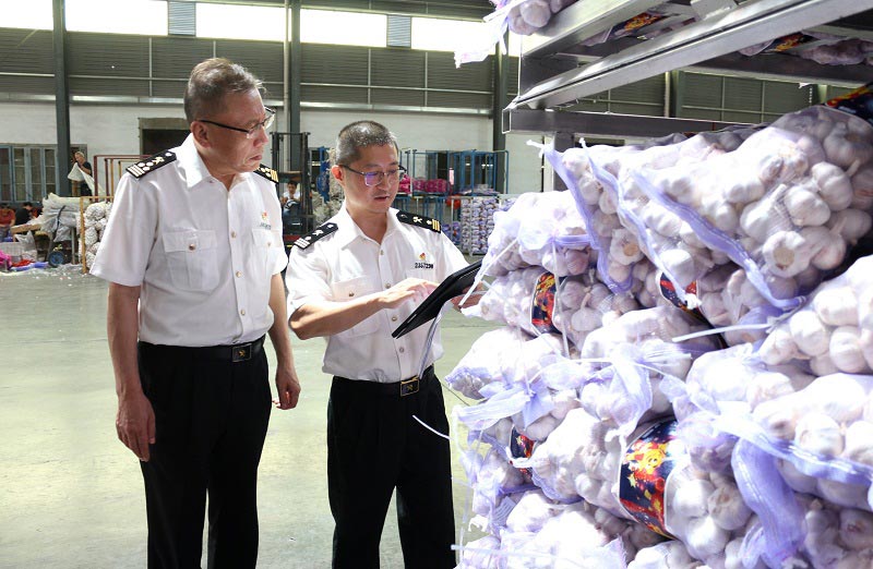 关员对出口大蒜进行查验 关员对出口大蒜进行查验