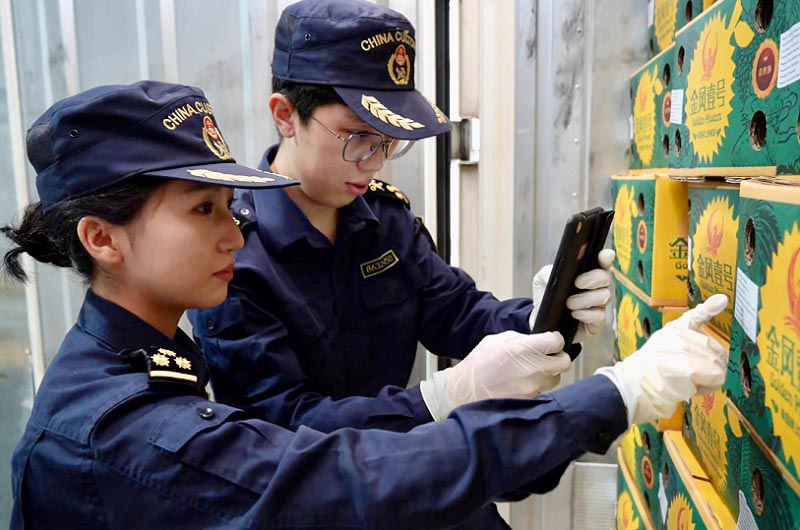云南海关关员在磨憨铁路口岸对进口泰国鲜榴莲进行查验