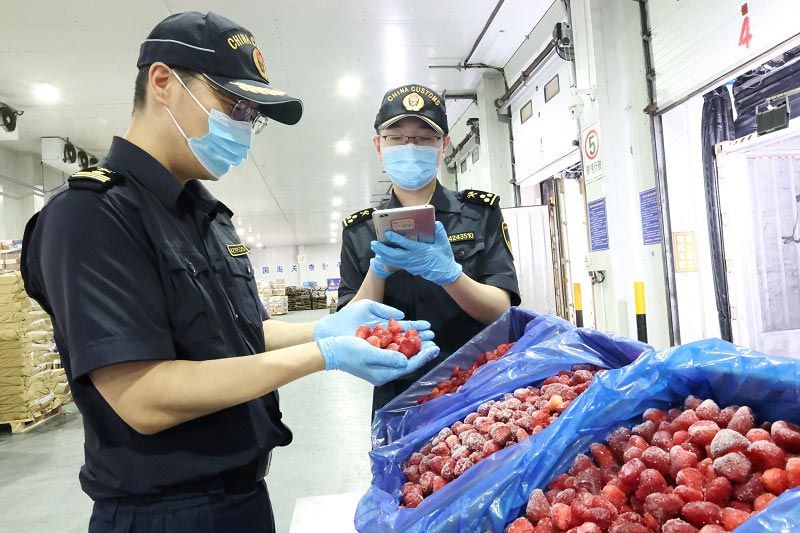关员对埃及进口冷冻草莓进行查验 关员对埃及进口冷冻草莓进行查验
