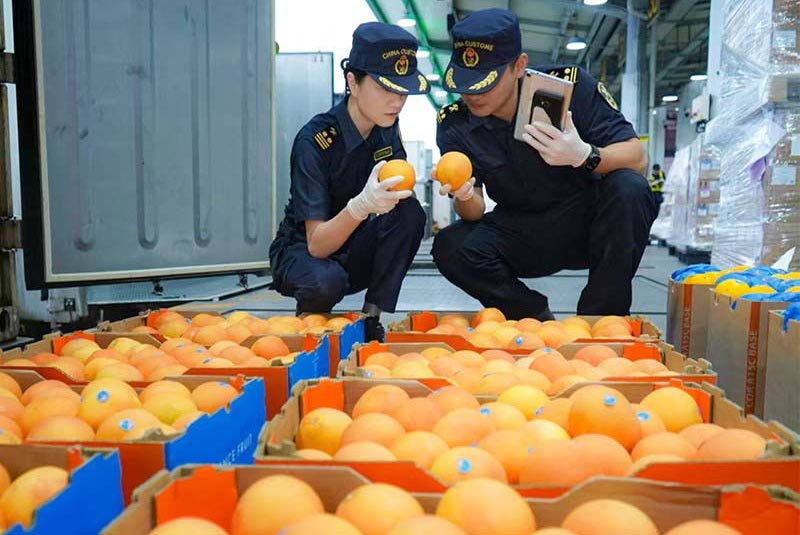 关员现场监管非洲进口鲜果 关员现场监管非洲进口鲜果