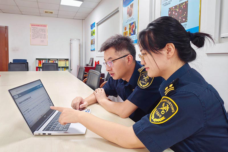 洋山海关关员通过秘鲁官方互认网站查看进口蓝莓冷处理温度探针校正数据 洋山海关关员通过秘鲁官方互认网站查看进口蓝莓冷处理温度探针校正数据
