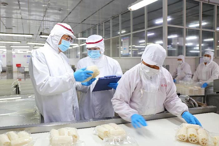 关员对出口荷藕制品实施现场监管 关员对出口荷藕制品实施现场监管