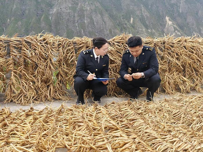 关员在中药材企业开展日常风险监测